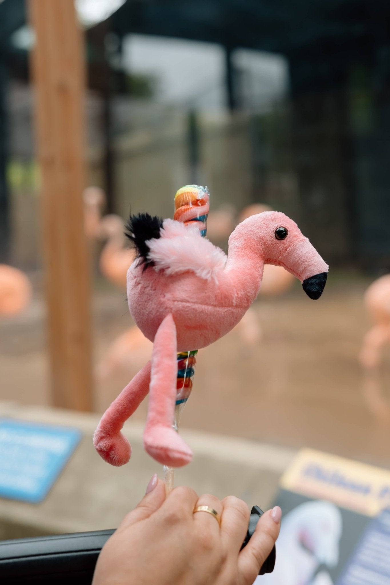 6" Lollyplush Butterfly Assortment w/ 14" Rainbow Lollipop - Sunny Meadow Boutique