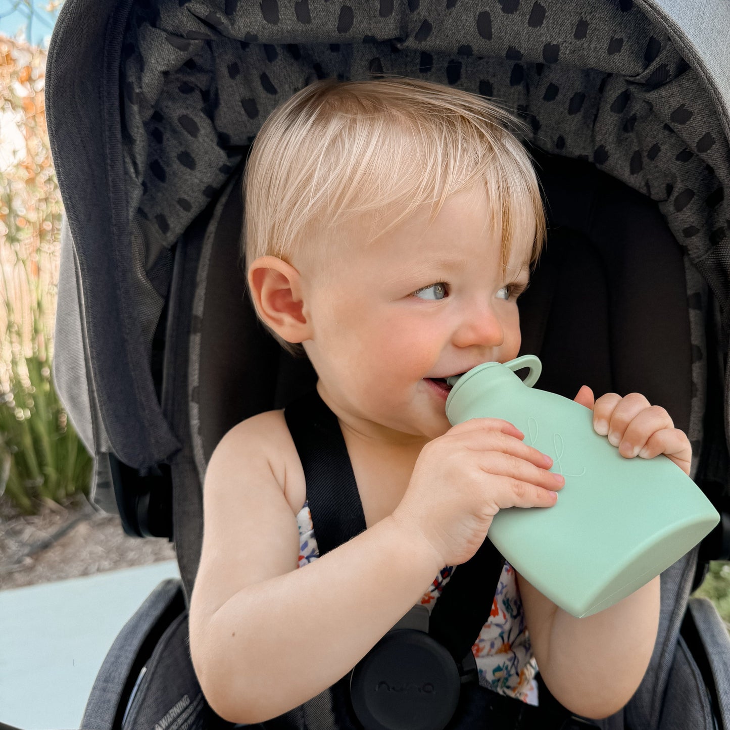 The Palmetto Pouch 2-Pack