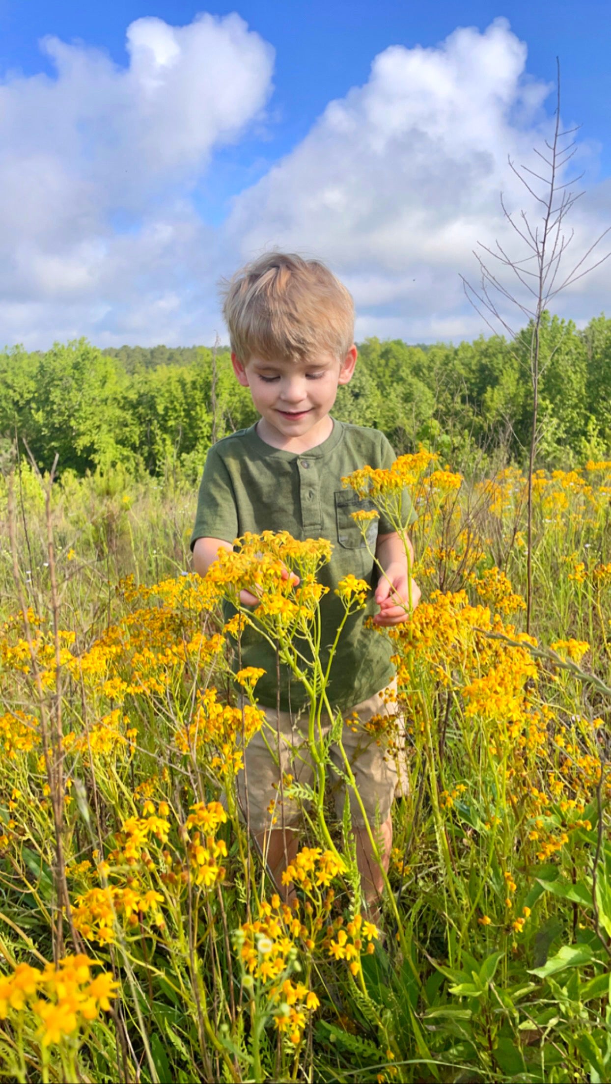 Boy in sunny meadow