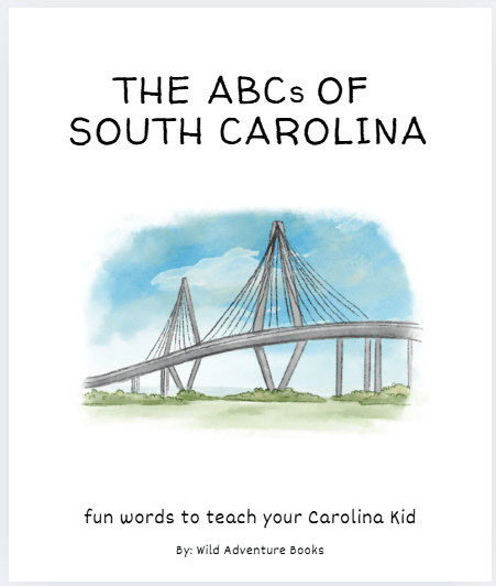 ABC's of South Carolina - Sunny Meadow Boutique