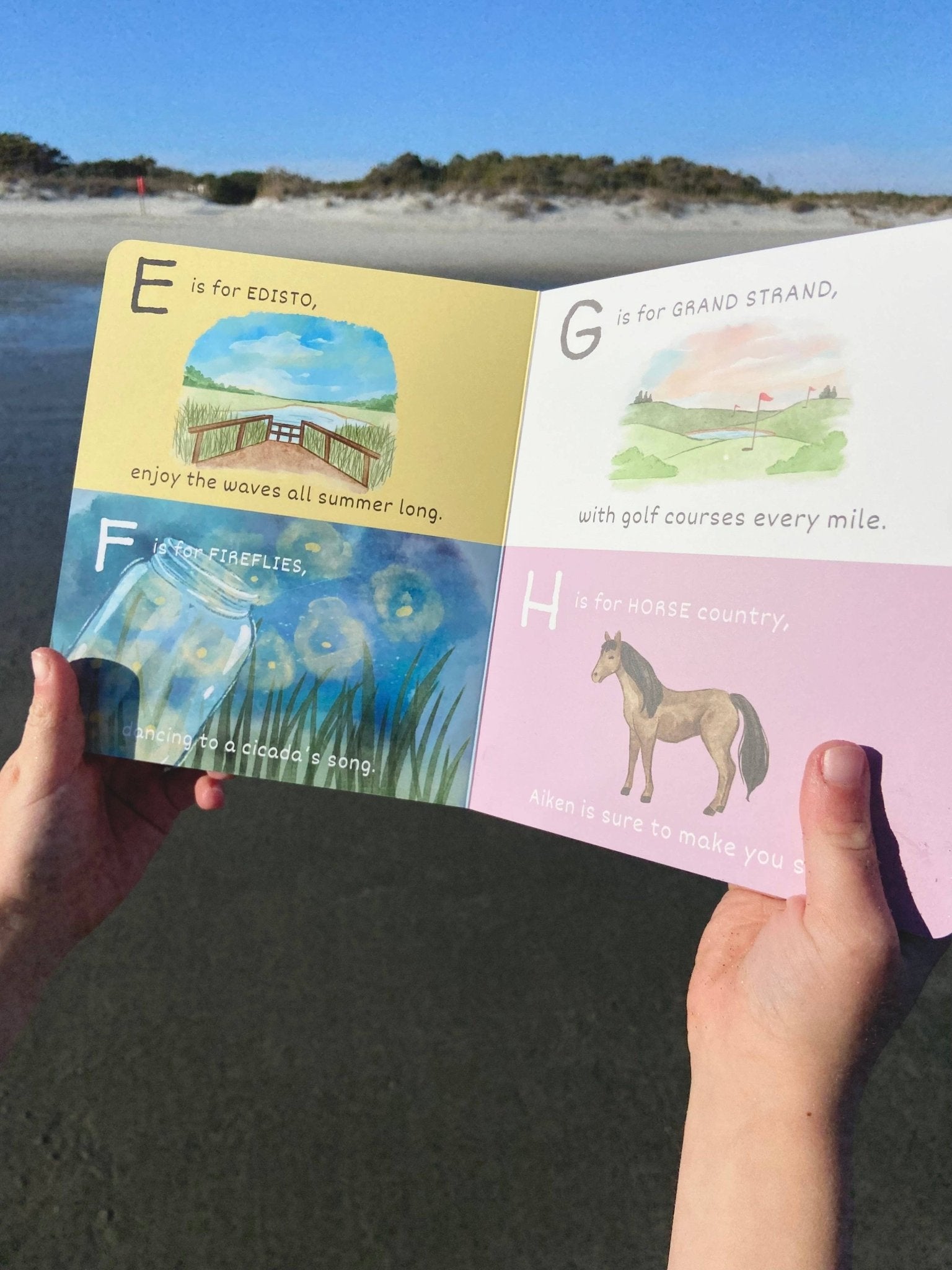 ABC's of South Carolina - Sunny Meadow Boutique