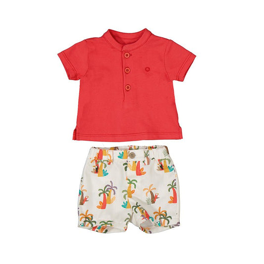 Boys shorts set - Sunny Meadow Boutique