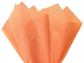 Color Tissue Paper Bulk 20X30" Sheets - Sunny Meadow Boutique