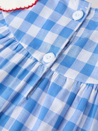 Girls 4th of July Plaid Twirl Dress Bow Embroidery Petals Collar - Sunny Meadow Boutique
