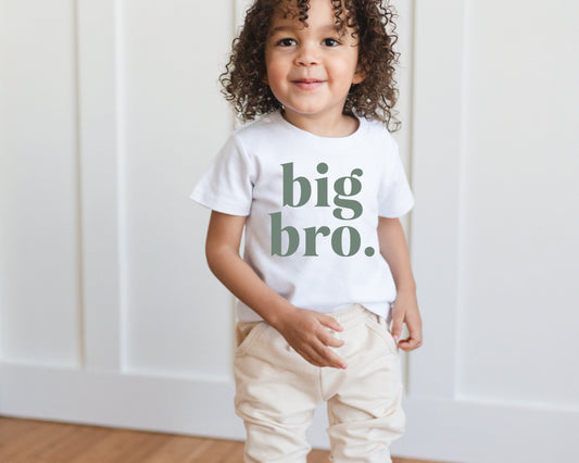 Big Bro Organic Cotton T-Shirt - more colors