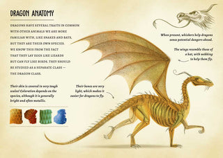 My Little Box of Dragons by - Sunny Meadow Boutique