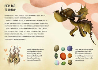 My Little Box of Dragons by - Sunny Meadow Boutique