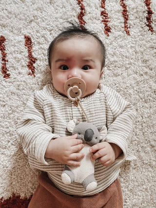 *NEW OPTIONS* Bitzy Pal Natural Rubber Pacifier & Plush - Sunny Meadow Boutique