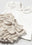 White and brown stripe