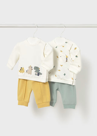 Sunny Meadow Newborn Boy 2-Piece Dino Mix & Match Sets – Honey & Rain