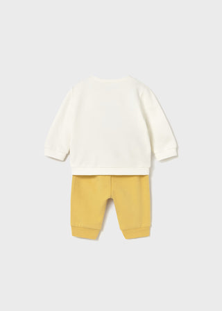 Sunny Meadow Newborn Boy 2-Piece Dino Mix & Match Sets – Honey & Rain