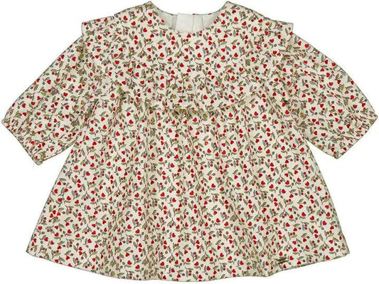 Printed Velvet Dress - Sunny Meadow Boutique