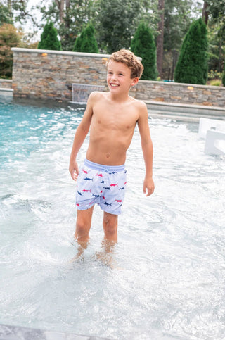 PRODOH Boys' Boogie Board Swim Trunks Swordfish Stripe Print - Sunny Meadow Boutique