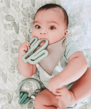 Ritzy Rattle™ Silicone Teether Rattles - Sunny Meadow Boutique