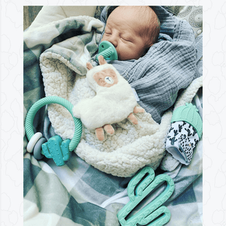 Ritzy Rattle™ Silicone Teether Rattles - Sunny Meadow Boutique