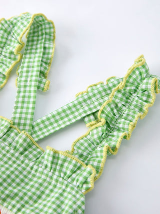 Spring Turtle Smocked Baby Girls Dress - Sunny Meadow Boutique