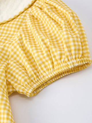 Yellow Goose Embroidered Smocked Plaid Dress - Sunny Meadow Boutique